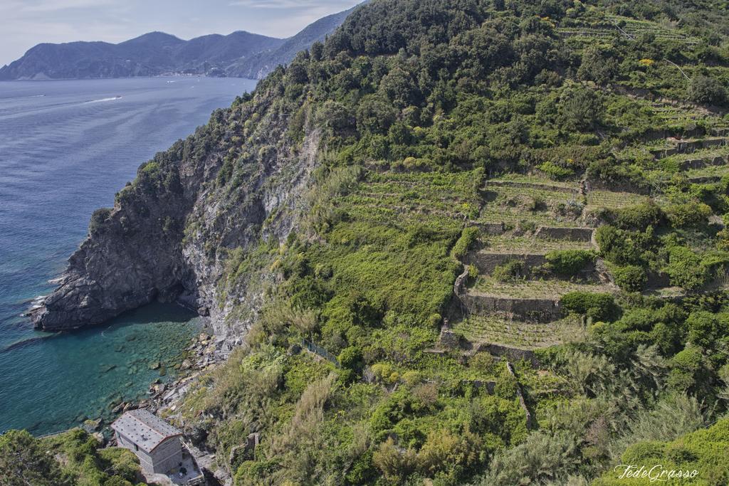 Marina Di Corniglia Big Flat In 5 Terre Apartment Vernazza Exterior photo